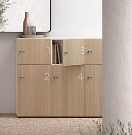 Alagon Casier de bureau