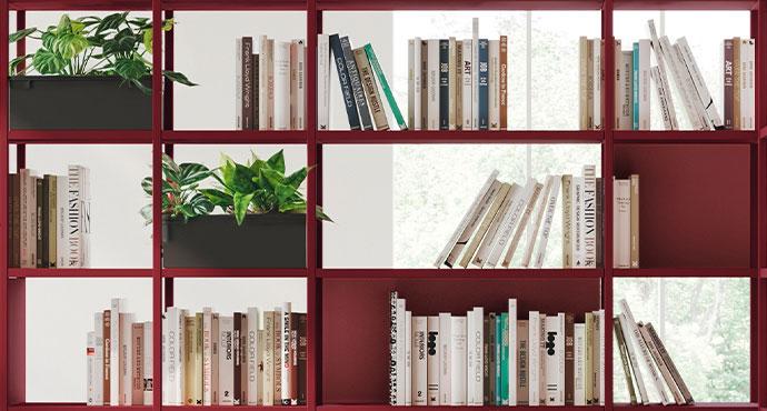 Déclinaisons & tarifs Argentera Bibliothèque