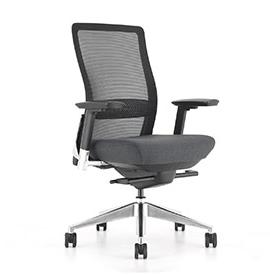 Briance Siège de bureau ergonomique