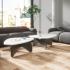 Table basse salon professionnel canapé gris design contemporain, gamme Loire - France Bureau